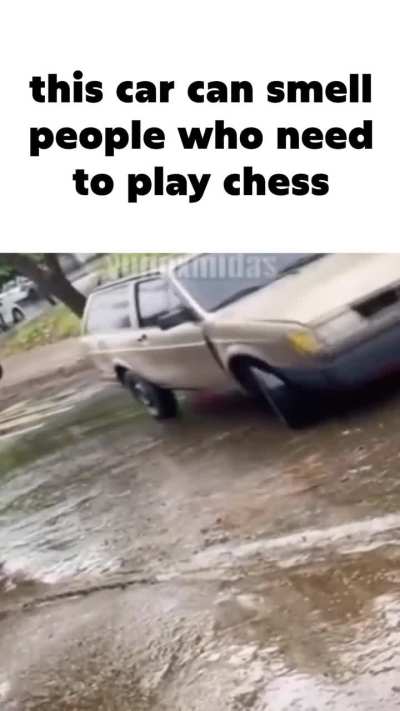 Sniffing car