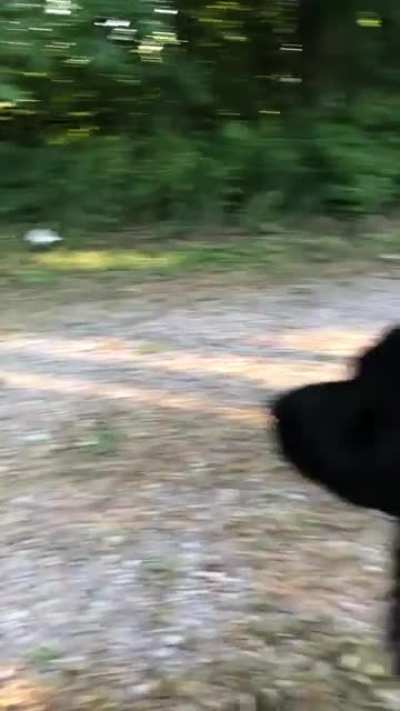 I left to take his brother on a 4 wheeler ride without him. My husband filmed the reaction&hellip;