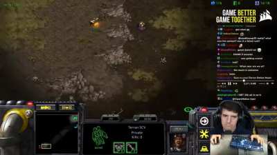 For my Starcraft friends out there