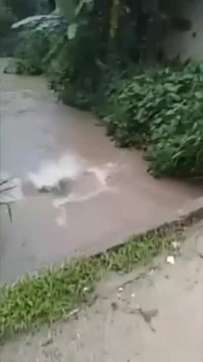 bad luck huh