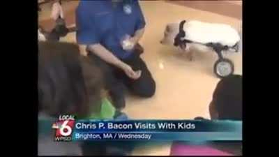 Chris P. Bacon visits with kids