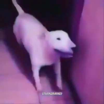 Walter