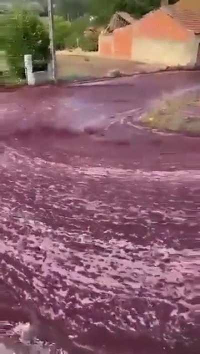 The streets of Levira, Portugal were flooded with red wine after a distillery&rsquo;s 2.2 million liter tanks burst.