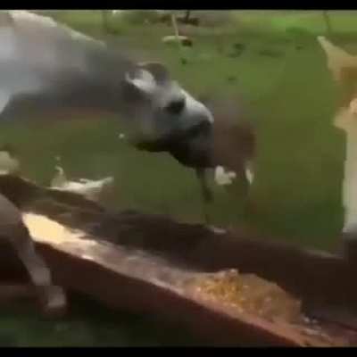 Hmmmm