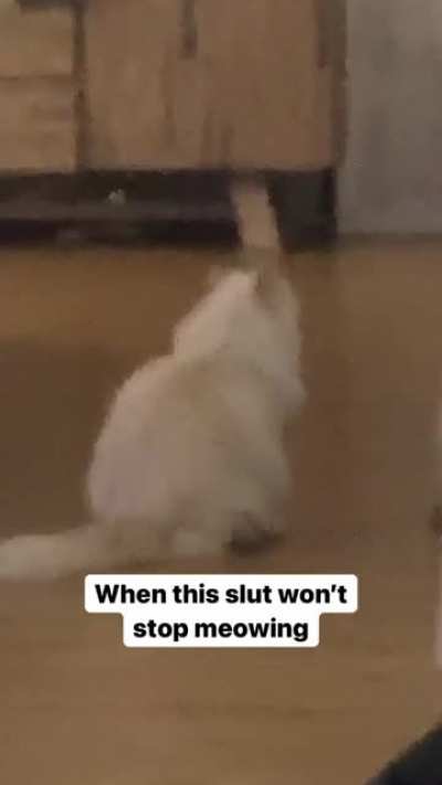 Meow