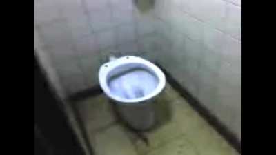 Here&rsquo;s the talking toilet