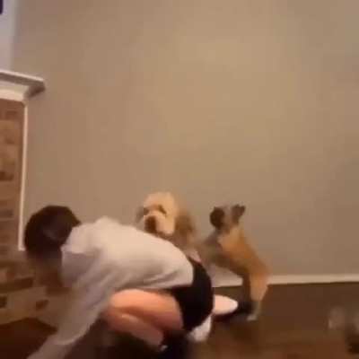 Fuck that human