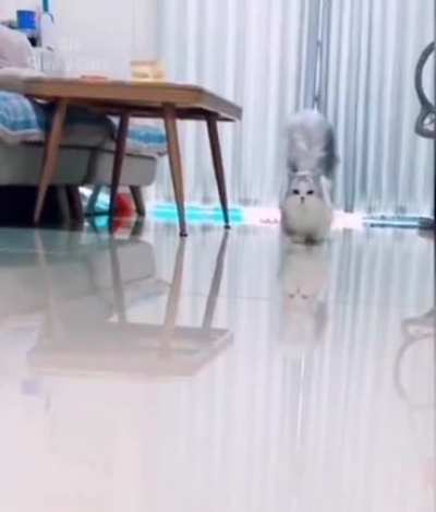 wink
