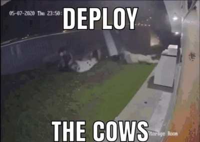 OH SHIT!