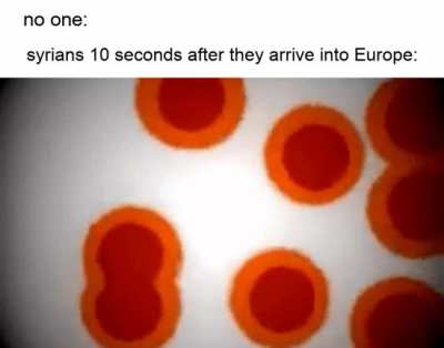 "it's breeding time"