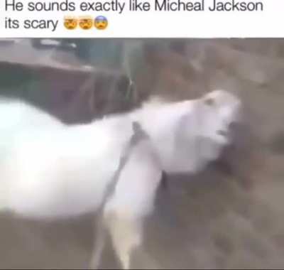🤯🤯