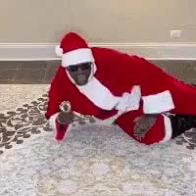 loser city xmas