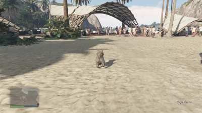 My character turned 1 on Tuesday, so I ate a Peyote plant and took a trip to Cayo 🪴🏝
