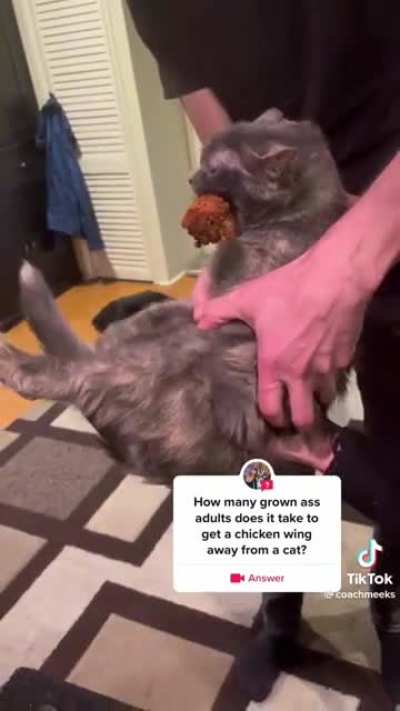 One Spicy Kitty..