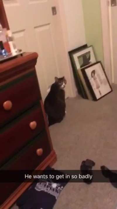 GF was in the shower and he wanted in.