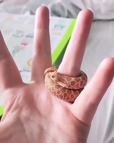 loop de loop