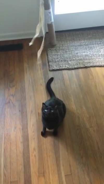 Maybe Maybe Maybe