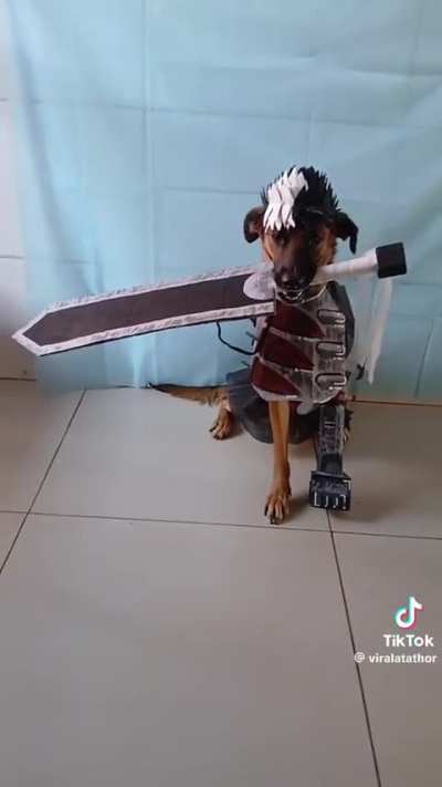 Baka dog 