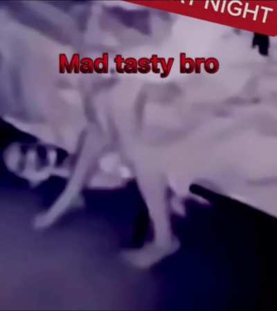 Tasty