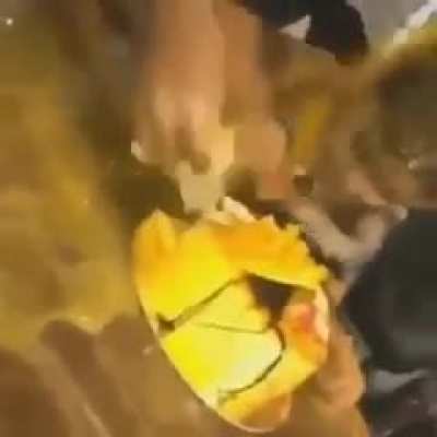 Why would they do this to a kid