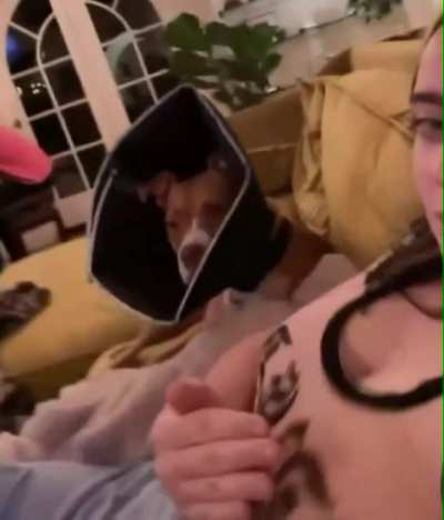 Scared the dog