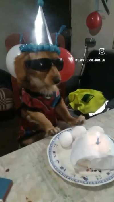 feliz anivers&aacute;rio Julio🎉