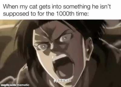 😼