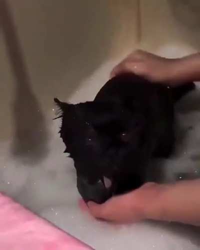 Bath time 🥺