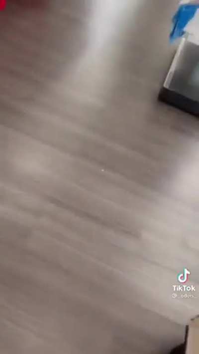 Target employees duck for cover after gunfire breaks out in the store