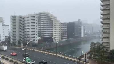 It snowed in Tokyo!