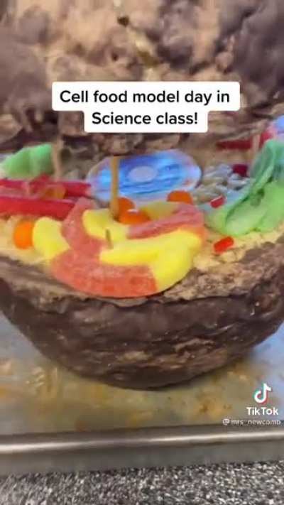 Kids react to a fellow students amazing science project