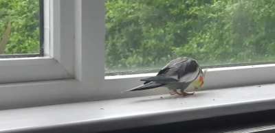 look at my boy doing his rain dance