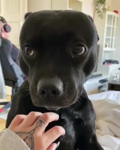 Precious land seal