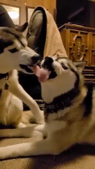 It&rsquo;s love?💗🤣