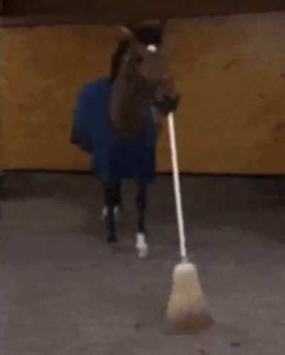 Janitorse, the great cleanser