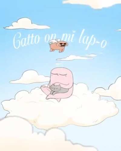 Gatto on mi Lap-o