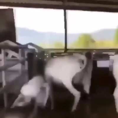 "Shouldn&rsquo;t have touched my mom"