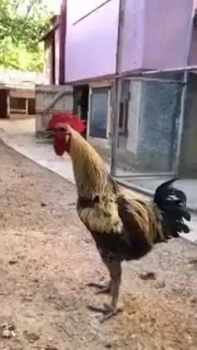 When you nut but she keeps sucking