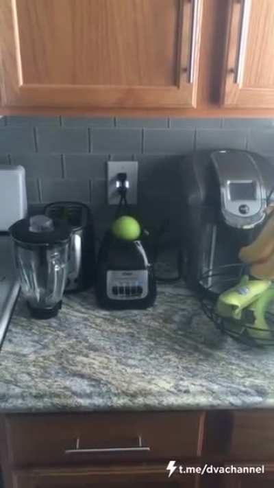 Oh an apple