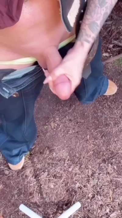 🌲🌳