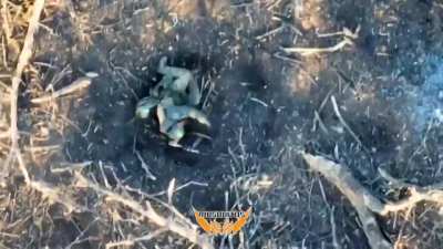Ukrainian 3rd Assault Brigade's 