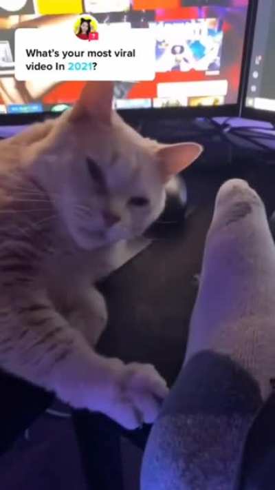 UwU