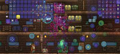 Money glitch