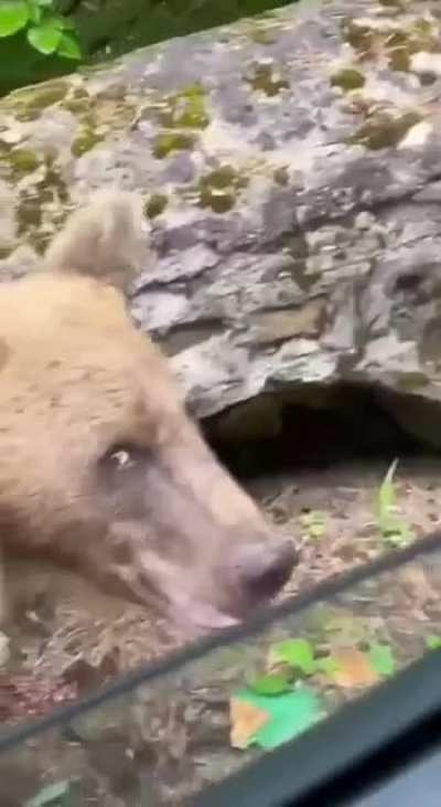 Maybe maybe maybe