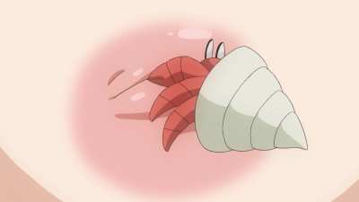 Nipple attack! Boobs vs hermit crab.
