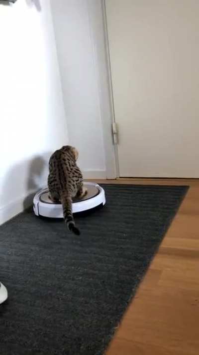 This is Kuba. After catching the red dot he decided to move on to other adventures. Now he’s a professional vacuum rider. He’s unstoppable.