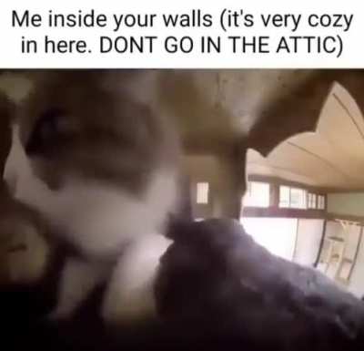 (plz dont go)