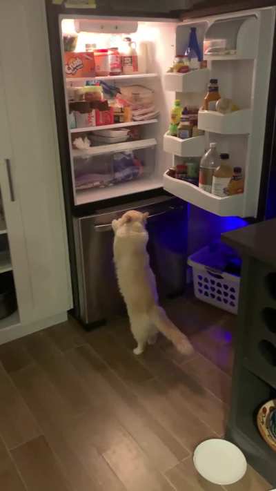 He&rsquo;s taking over. I turned around for one second to put something on the counter&hellip;..