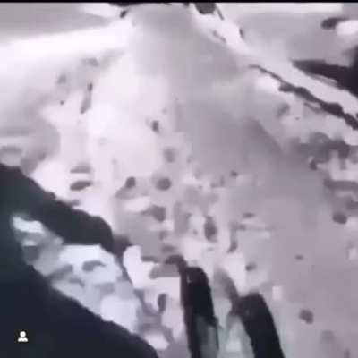Real or fake ?