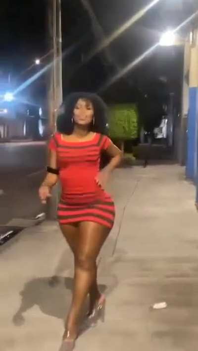 Ah&iacute; les va la negra, puercos.